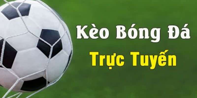 Cách đọc tỷ lệ kèo bóng trực tuyến tại Hi88 chuẩn xác