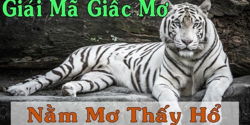 Nằm mơ thấy hổ là điềm gì?