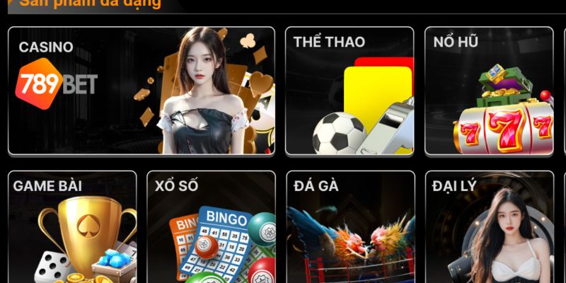 Sơ lược nhà cái 789bet